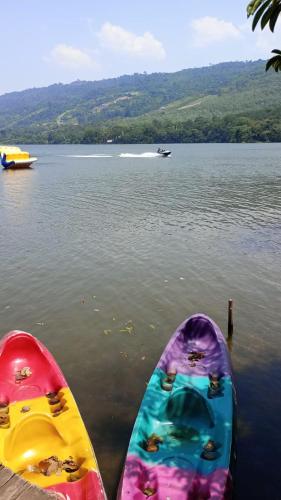 two kayaks sitting on the shore of a lake at Cabaña Familiar del lago - Sauce in Sauce