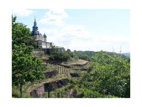 a house on top of a hill with vines at "Spitzhausblick" in het Huis Felix in Radebeul