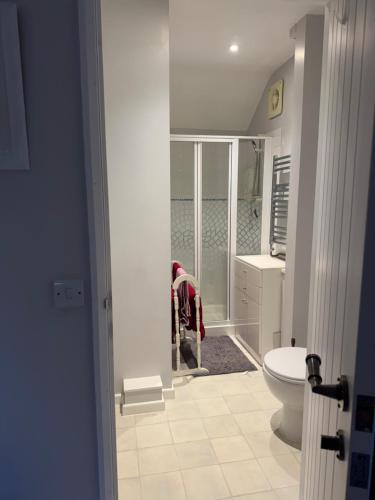 a bathroom with a shower and a toilet at Chineway Cottage in Ottery Saint Mary