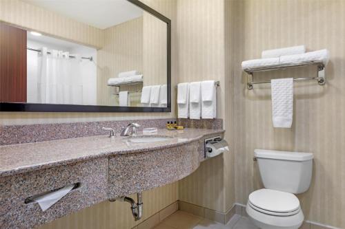 a bathroom with a sink and a toilet and a mirror at Best Western Plus Waxahachie Inn & Suites in Waxahachie