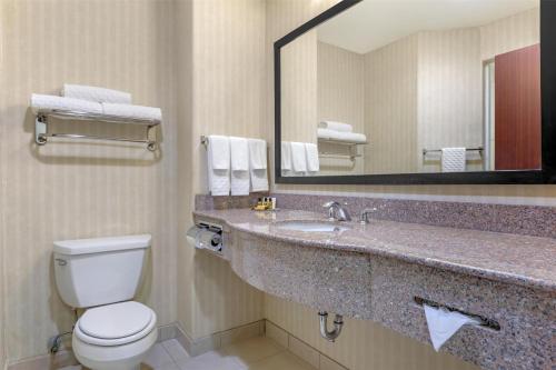 a bathroom with a toilet and a sink with a mirror at Best Western Plus Waxahachie Inn & Suites in Waxahachie