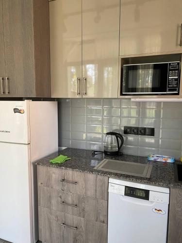a kitchen with a white refrigerator and a microwave at Magnetoria in Urekis Sadguri