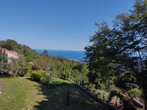 Φυσικό τοπίο κοντά σε αυτή η παραθεριστική κατοικία