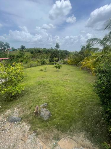 a large field of grass with trees and bushes at Rancho La Loma in Higuey