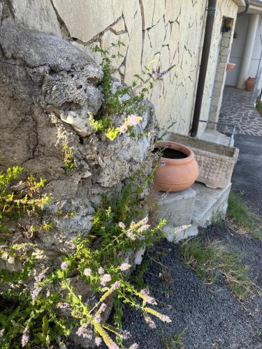a stone wall with a pot next to a plant at Frank House 2 in Montaquila
