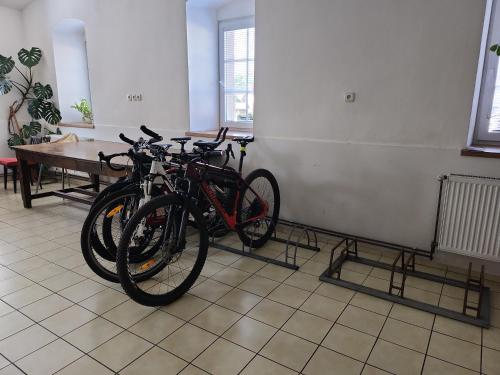 two bikes parked in a room with a table at Penzion Bamako in Chřibská