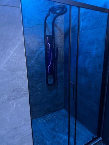 a shower with a glass door with a hose at NewPlace Luxury Apartment in Sátoraljaújhely