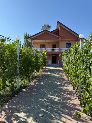 Foto Villa Gega 1