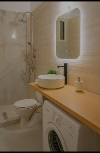 a bathroom with a sink and a toilet and a mirror at Endless Green Villa in Argostoli