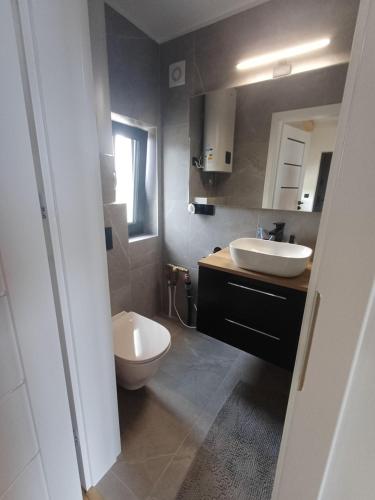 a bathroom with a white sink and a toilet at Przystań Łukęcin in Łukęcin