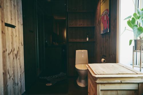 a bathroom with a toilet and a green wall at Lillstugan in Åre