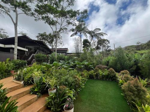 Zahrada ubytování Casa Brisa Resort