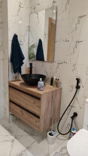 a bathroom with a sink and a mirror at Villa Hiba in Stehat