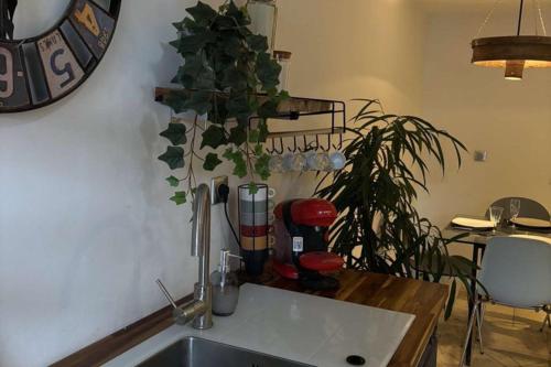 eine Küche mit einer Spüle und einem Tisch mit einer Pflanze in der Unterkunft cottage cocon et loft in Villampuy