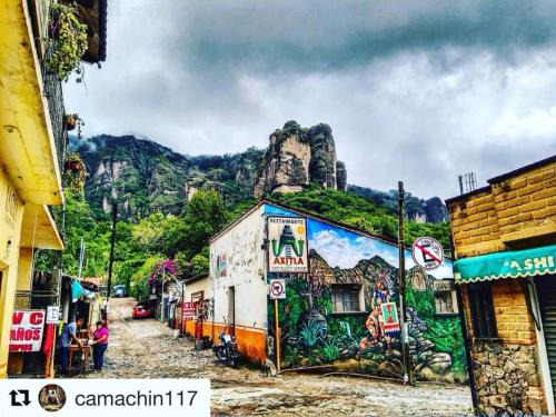a mural on a building with a mountain in the background at Hostal Casa Petricor 