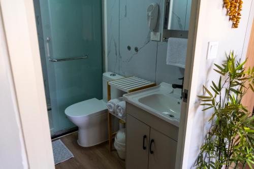 a bathroom with a toilet and a sink at Luna de Chañares in San Pedro de Atacama