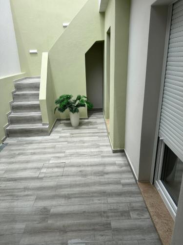a hallway with stairs and a potted plant at TopHouse Setúbal in Setúbal