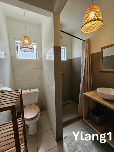 a bathroom with a toilet and a sink at L'Ile en Ylang in Saint-Leu