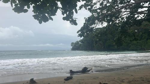 Φυσικό τοπίο κοντά σε αυτό το διαμέρισμα