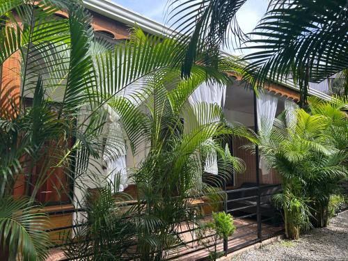a house with palm trees in front of it at Casa Teo número 2 in Puerto Viejo
