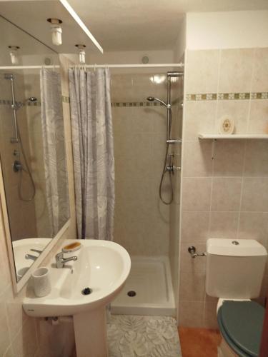 une salle de bain avec un lavabo, une douche et des toilettes dans l'établissement Appt 4-6 couchages climatisé avec 2 piscines et 200 m des plages et criques, à Linguizzetta