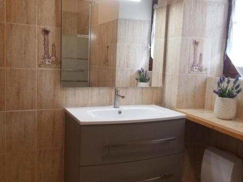 DaglanにあるMaison Périgourdine avec Cheminée et Wifi, Daglan - FR-1-616-75の洗面台と鏡のあるバスルーム