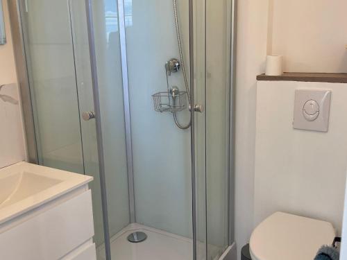 ein Badezimmer mit Dusche, Toilette und Waschbecken in der Unterkunft Charme champêtre entre Le Mans et Tours, maison rénovée en pleine nature - FR-1-410-480 in Flée