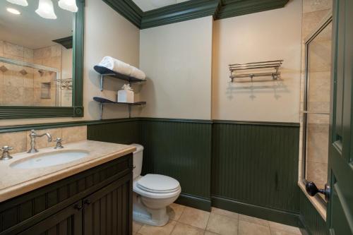 a bathroom with a toilet and a sink at Spacious Designer 3BR Victorian with AC & Hot Tub in Aspen