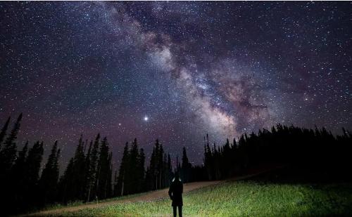a man standing in a field looking up at the night sky at Spacious Designer 3BR Victorian with AC & Hot Tub in Aspen
