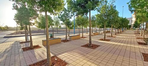 a row of trees on a sidewalk next to a street at Budget-Friendly Apartment Near AirPort in Nouaseur