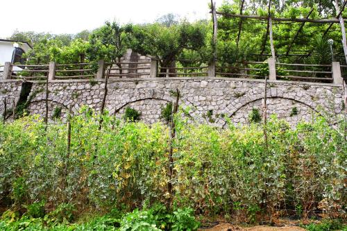 a stone wall with a fence and some plants at Il Raduno in Tramonti