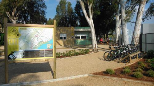 Ποδηλασία στο Camping Torrenostra ή στη γύρω περιοχή