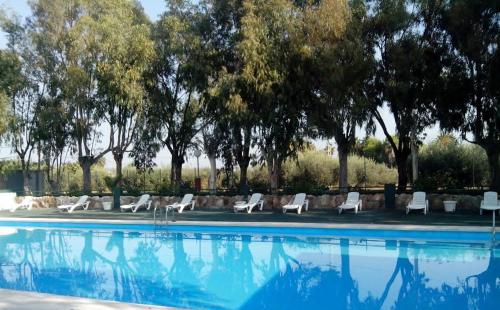un grupo de sillas blancas junto a una piscina en Camping Torrenostra, en Torreblanca