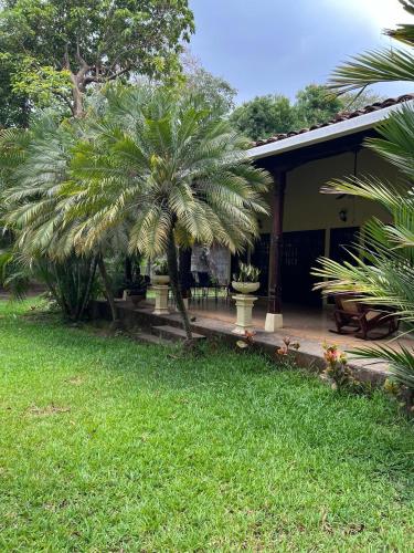 a house with a palm tree next to a yard at Casa Tranquilo in Chinandega