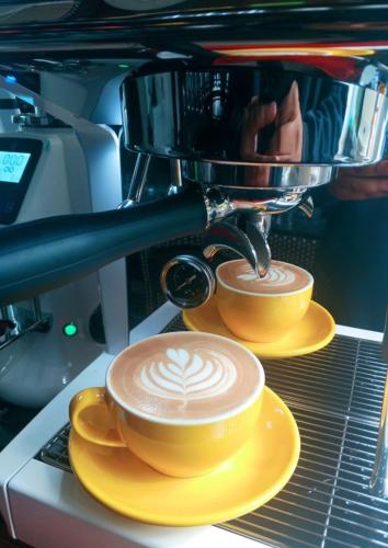 Kemudahan buat kopi dan teh di Papabo Backpackers Mactan