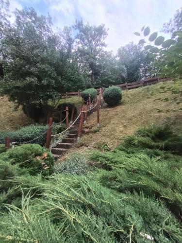 a set of stairs in a field with grass at HamvasDomb Vendégház in Egerszalók