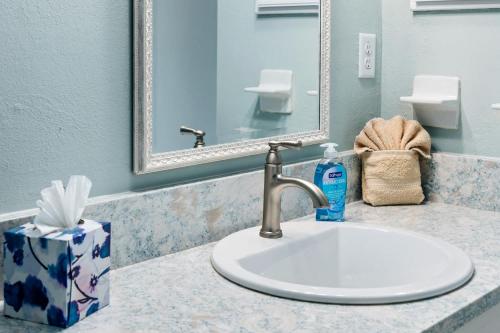 a bathroom counter with a sink and a mirror at Modern Condo on the lake Oldsmar FL in Oldsmar