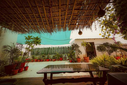 Vườn quanh Elegant 6 Bedroom Boutique Villa Near Taj Mahal