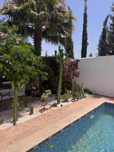 a swimming pool in a yard with trees and a fence at Dar D'art Luz Galerie Boutique Guest house in Ghazoua
