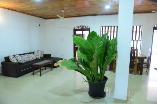 a living room with a black couch and a plant at Mango Breeze Hikkaduwa in Gonapinuwala West