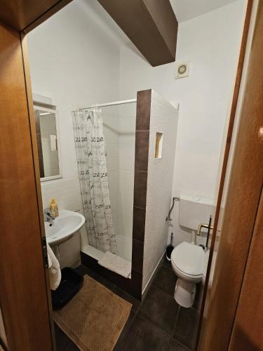 a small bathroom with a toilet and a sink at Apartmani Katja in Omiš