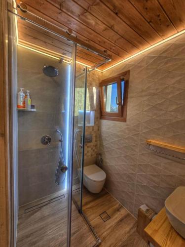 a bathroom with a shower and a toilet at Vista Mare in Kámpos