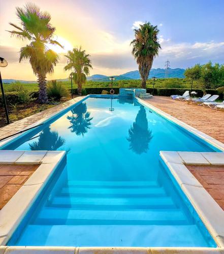 a swimming pool with blue water and palm trees at B&B Le Foglie D'Argento in Caltabellotta