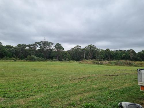 a large open field with a dog in the foreground at Cottonvale Country Lodge 