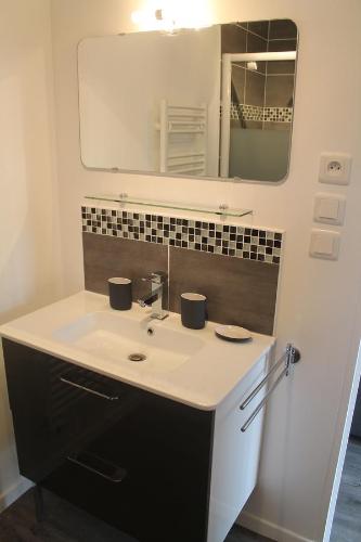 a bathroom with a sink and a mirror at Le Champ De La Ferme in Saint-Gervais en-Belin