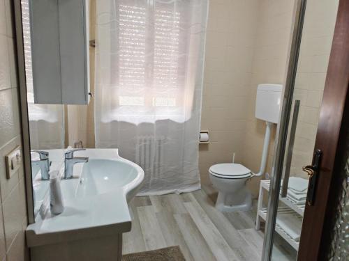a bathroom with a sink and a toilet and a shower at Da Lina in Aosta