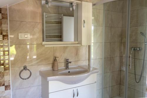a bathroom with a sink and a shower at Apartments Ema in Podčetrtek