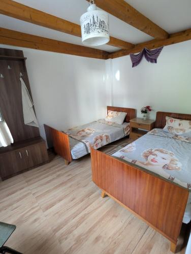 Gallery image of Vila lui Simion in Rimetea