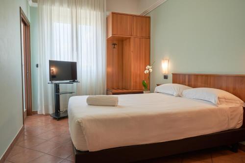 a bedroom with a large bed and a flat screen tv at Hotel Aquila in Castelfranco Emilia