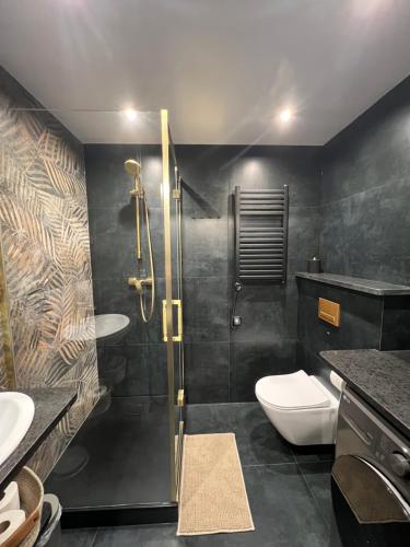 Un baño con ducha, inodoro y lavabo. en Silesian Gold Apartments, en Katowice